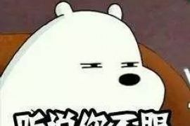 黔西工资清欠服务