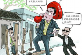 黔西融资清欠服务