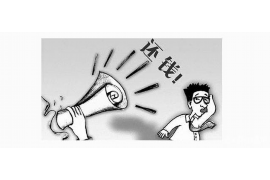 黔西企业清欠服务